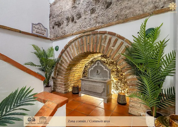 Adanar Muralla Ziri Centro Premium